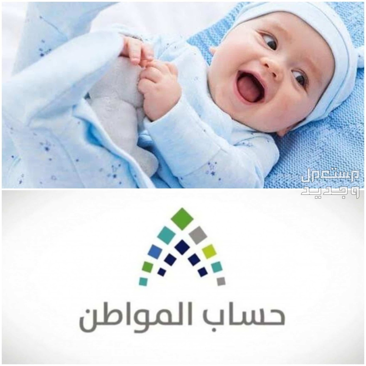 طريقة تسجيل المولود الجديد في حساب المواطن 1445 في الجزائر تسجيل المولود الجديد في حساب المواطن