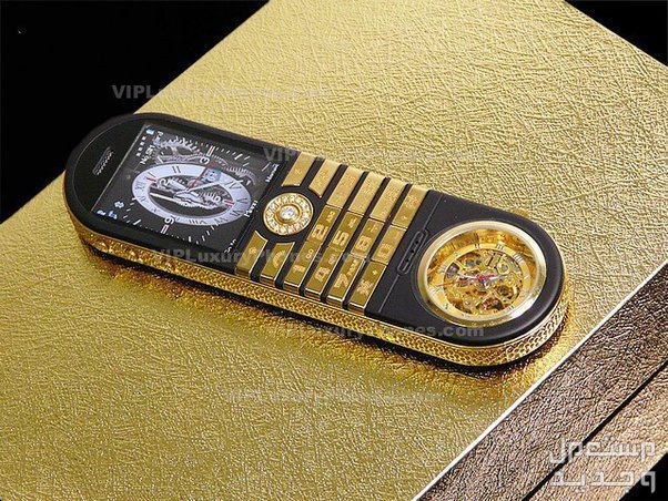 تعرف على هاتف Goldvish Revolution الثمين Goldvish Revolution
