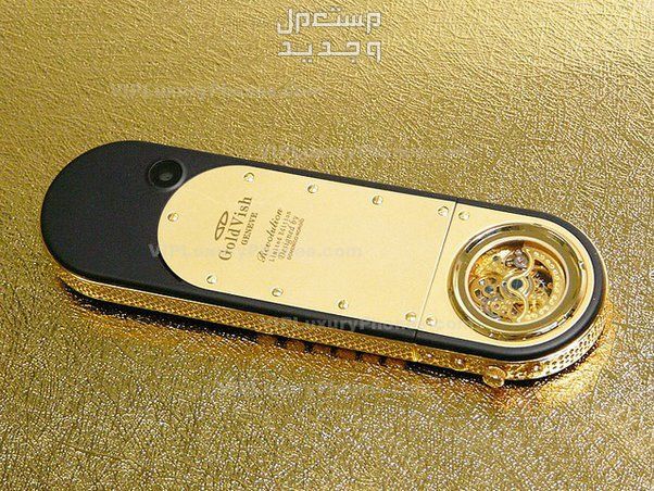 تعرف على هاتف Goldvish Revolution الثمين Goldvish Revolution