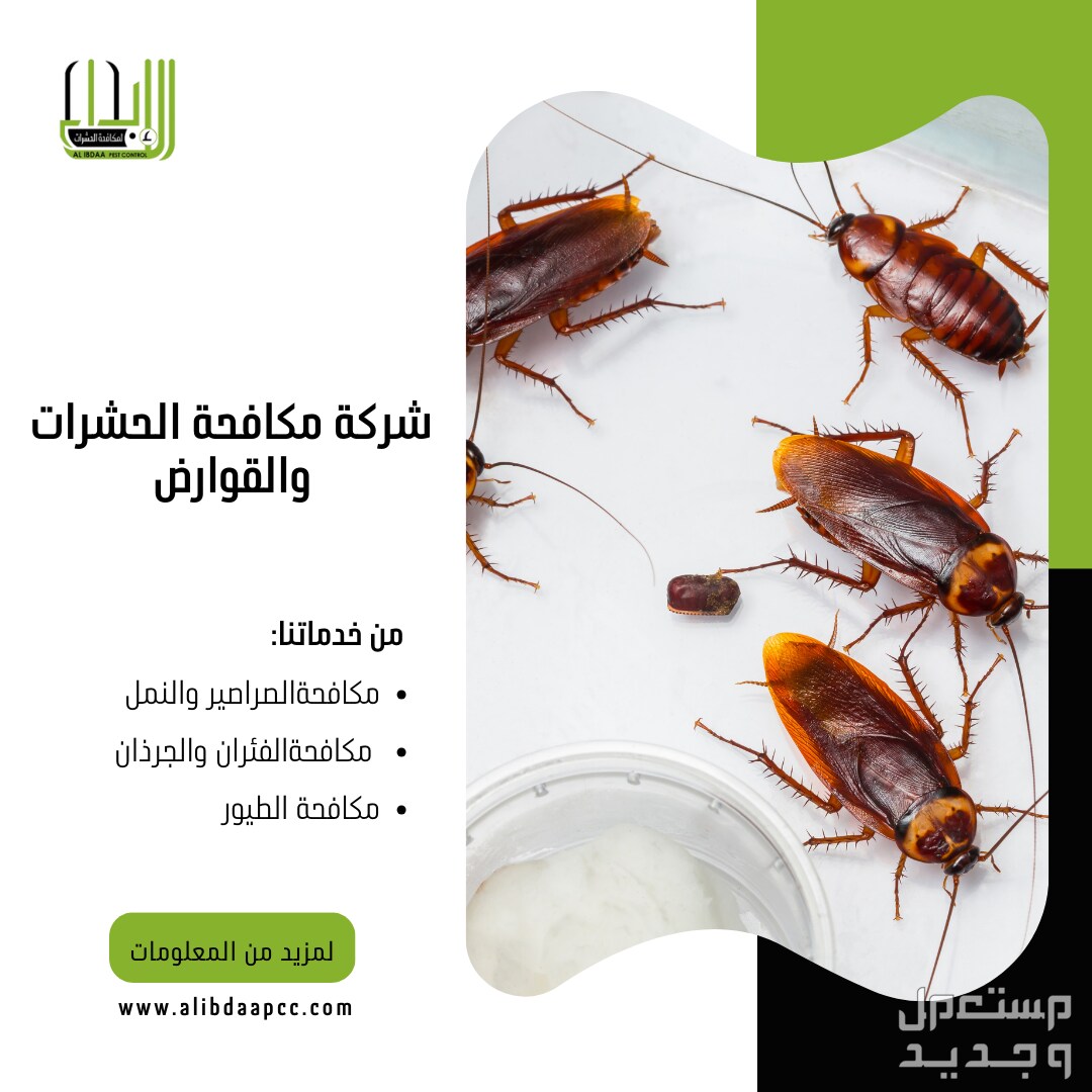 مكافحة الحشرات والصراصير والنمل و بق الفراش