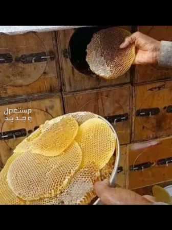 ابو صقر للبيع العسل والسمن البلدي
