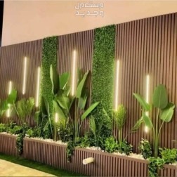 تنسيق حدائق منزليه في جدة بسعر 50 ريال سعودي