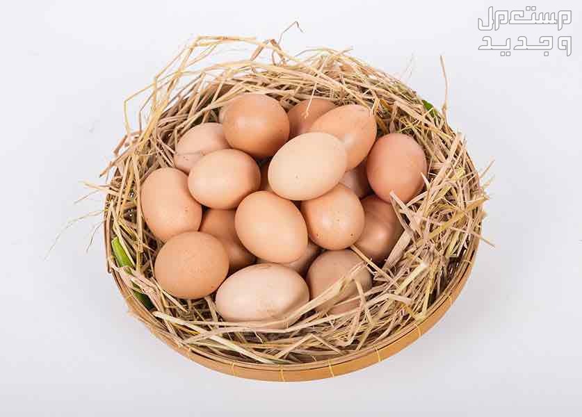 بيض بلدي طازج  في جدة