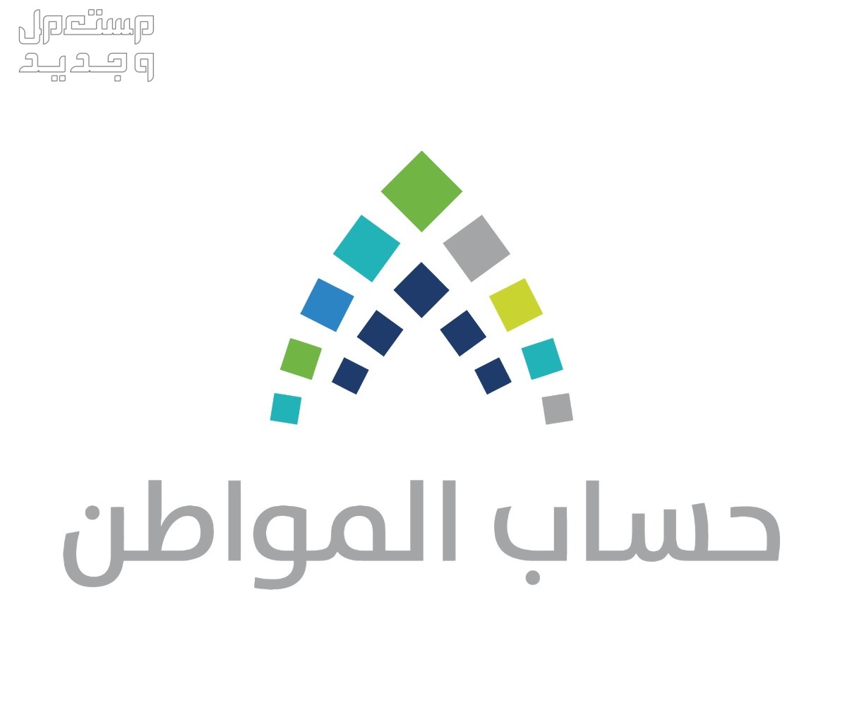 موعد حساب المواطن لشهر يناير 2024 في قطر