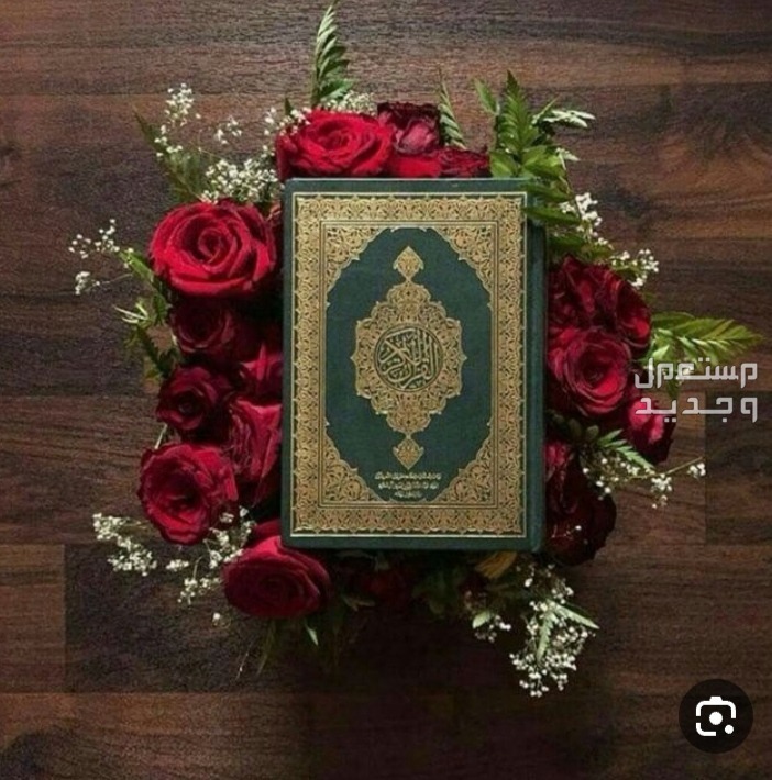 معلمه تحفيظ القرآن الكريم حي مرجانيه  في رابغ