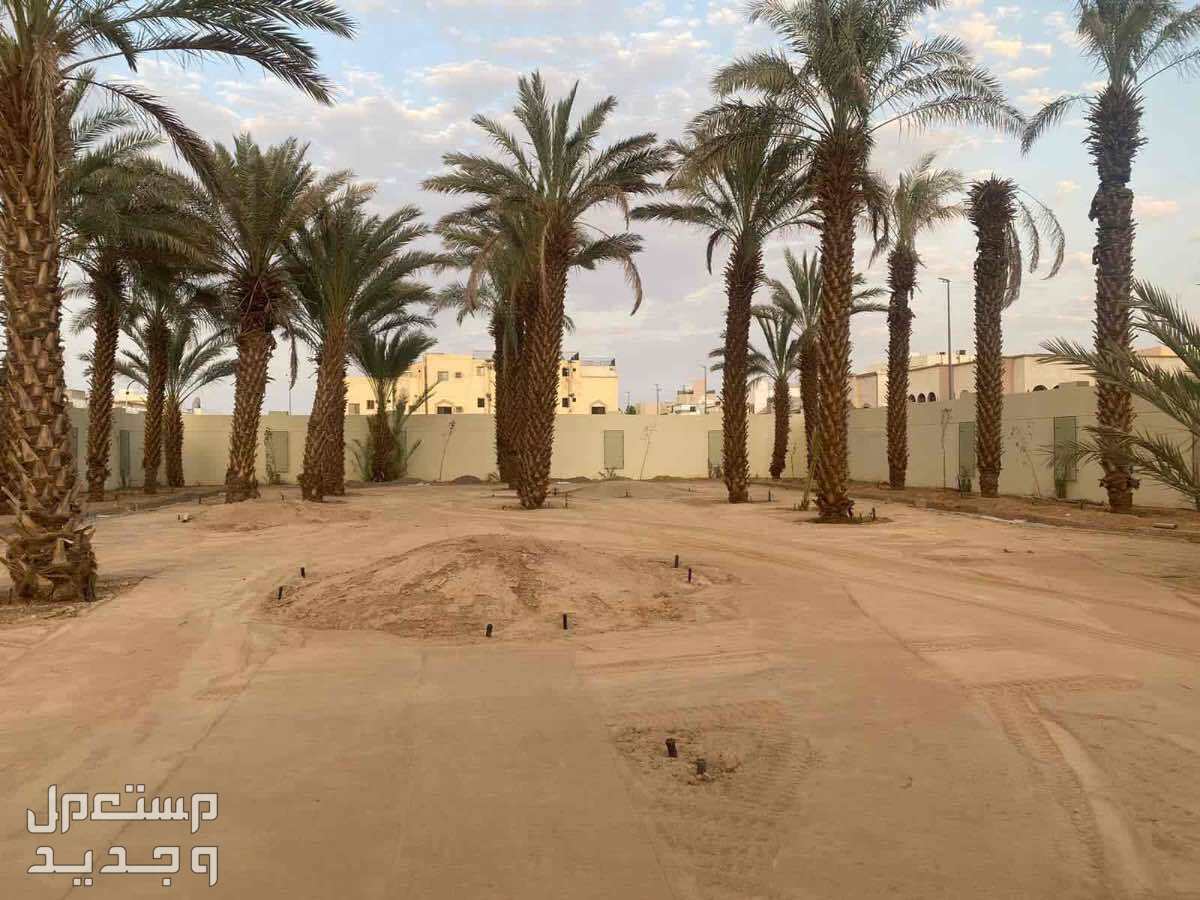 صيانة الحدائق وتركيب وصيانة شبكات الري  في الرياض