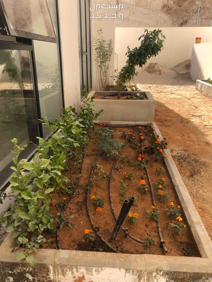 صيانة الحدائق وتركيب وصيانة شبكات الري  في الرياض
