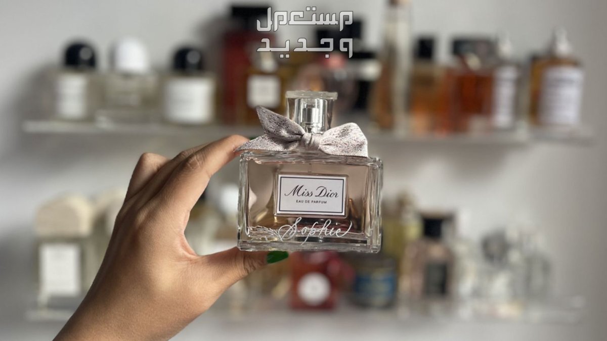 طريقة تعطير المنزل لمدة طويلة بأفكار سهلة وفعالة تعطير المنزل بأفضل الروائح
