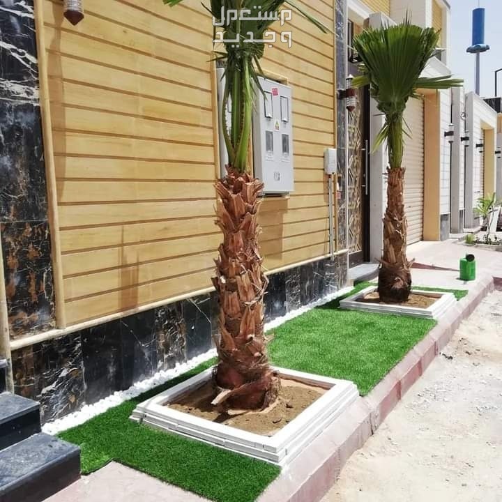 تنسيق حدائق جدة ومكة لتواصل م ابو عبد الرحمن