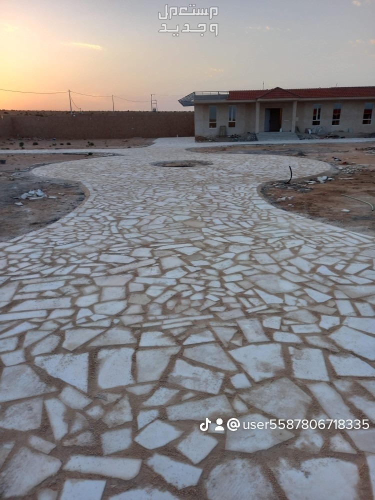 الرياض