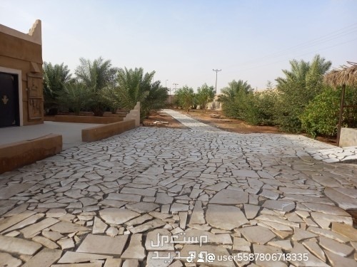 الرياض