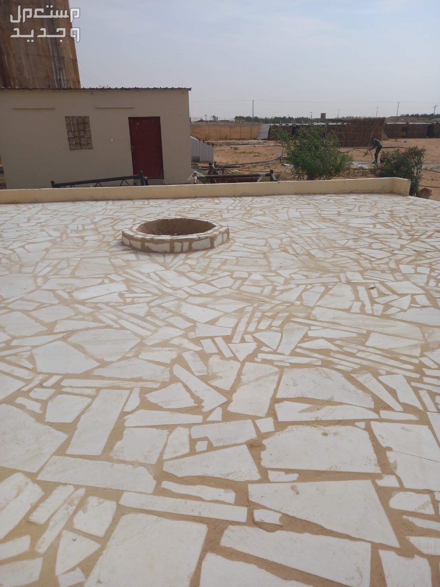 الرياض