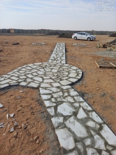 الرياض