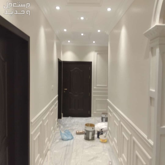اصباغ وديكورات