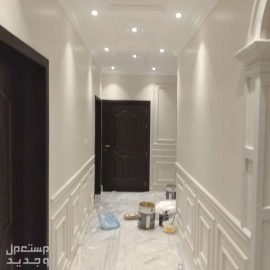اصباغ وديكورات