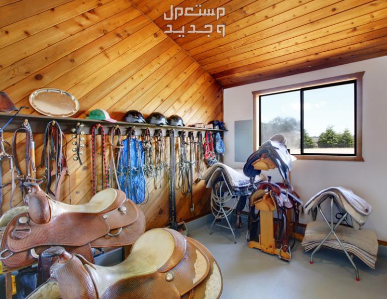 تعرف على ادوات خيول ضرورية لأصحاب الخيول في السودان ادوات خيول