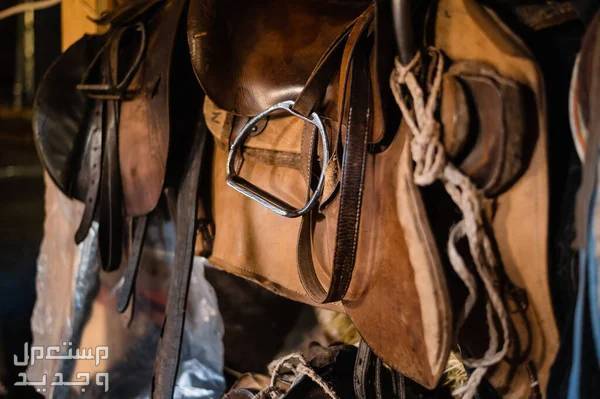تعرف على ادوات خيول ضرورية لأصحاب الخيول في السعودية أدوات ركوب الخيول