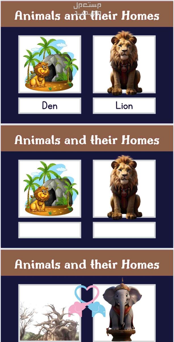 بطاقات فلاش للأطفال لتعلم الحيوانات Fcards