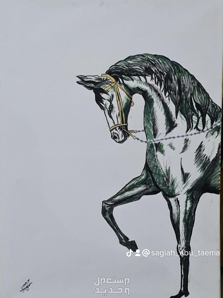 لوحة كانفس رسمة حصان باطراف مذهبه في الرياض بسعر 300 ريال سعودي
