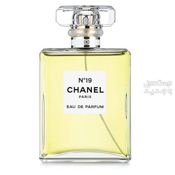 أفضل 6 عطور شانيل النسائية والرجالية 2024 في السعودية عطر شانيل Chanel n19