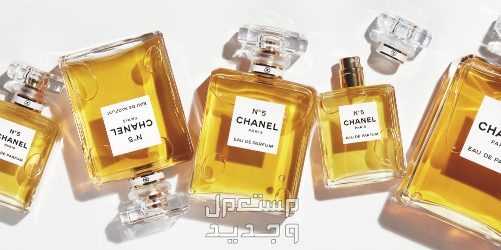 أفضل 6 عطور شانيل النسائية والرجالية 2024 عطور شانيل
