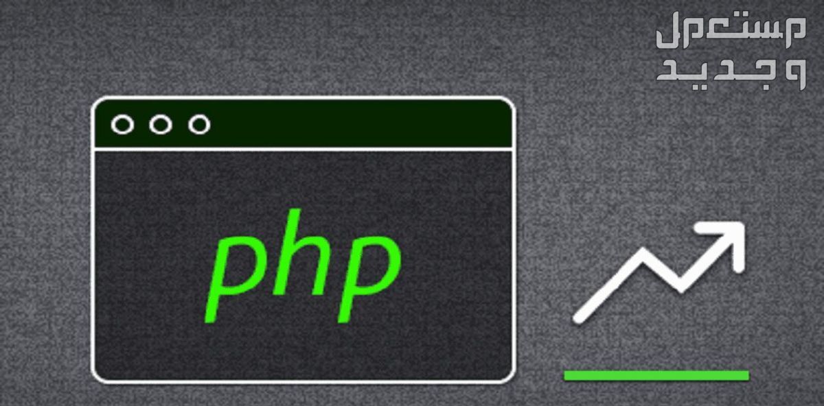 تطوير وإصلاح المشاكل البرمجية بلغة PHP