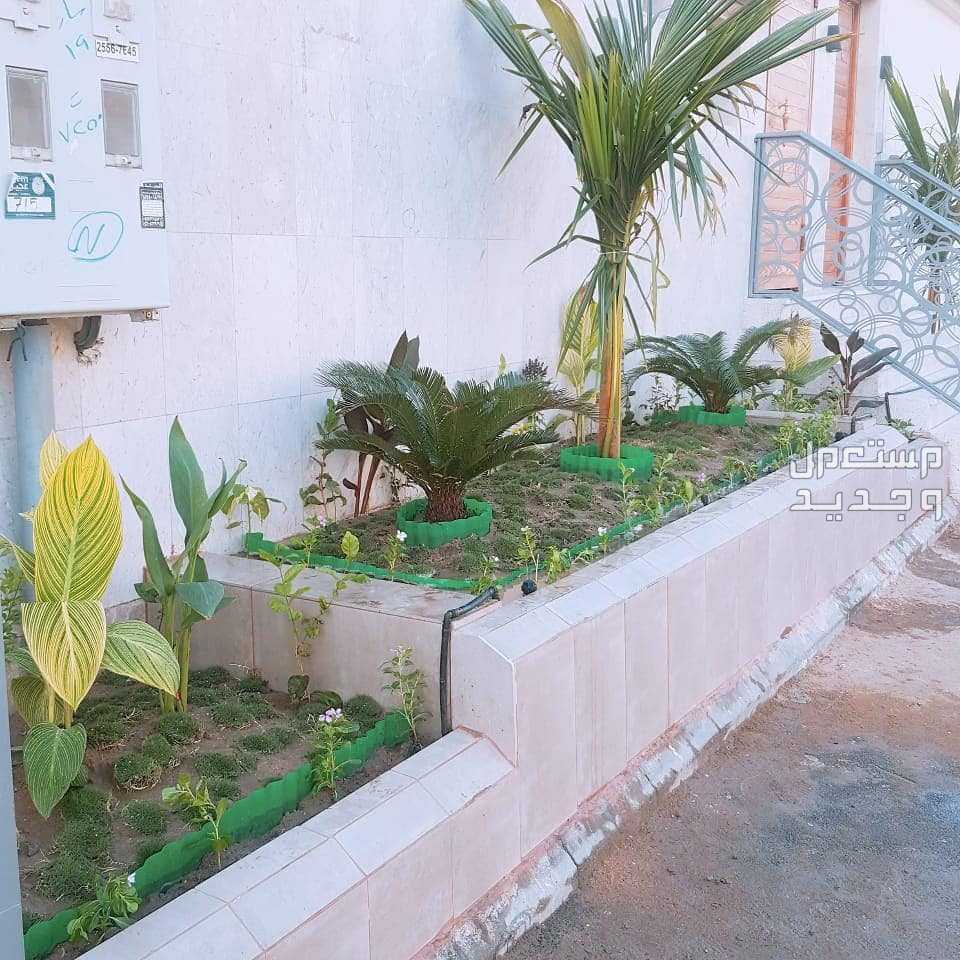 عشب الصناعه وتنسيق حدائق ومظلات  في جدة بسعر 22 ريال سعودي