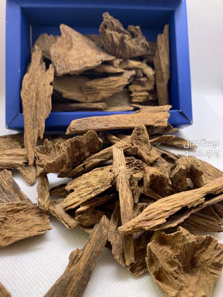 تعرف على أفضل أنواع العود والبخور بالصور بخور عود كلمنتان الطبيعي