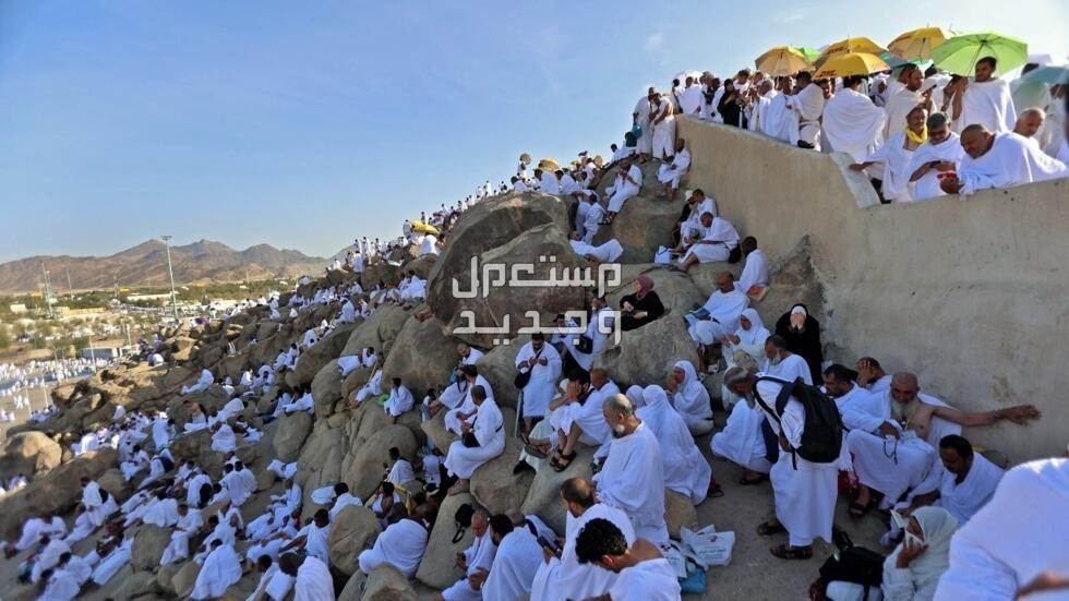 تفاصيل تعديل نظام خدمة حجاج الداخل وطريقة التسجيل تعديل نظام خدمة حجاج الداخل
