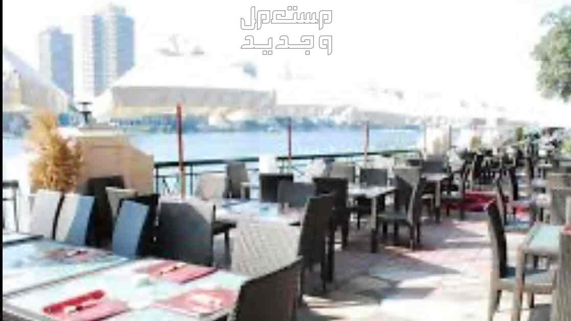 القاهره او الرياض مشروع مررربح كافي القاهره
