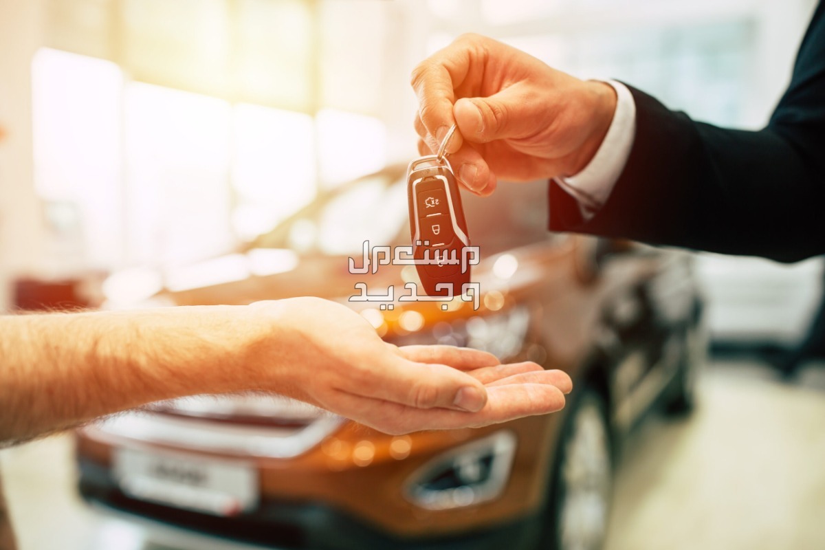 إجراءات نقل ملكية السيارة بدون مبايعة إلكترونيا 1445 في فلسطين نقل ملكية السيارة بدون مبايعة