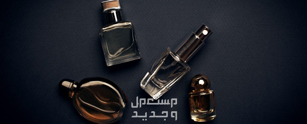 أفضل عطر رجالي يدوم طويلا في البحرين عطور تدوم للرجال