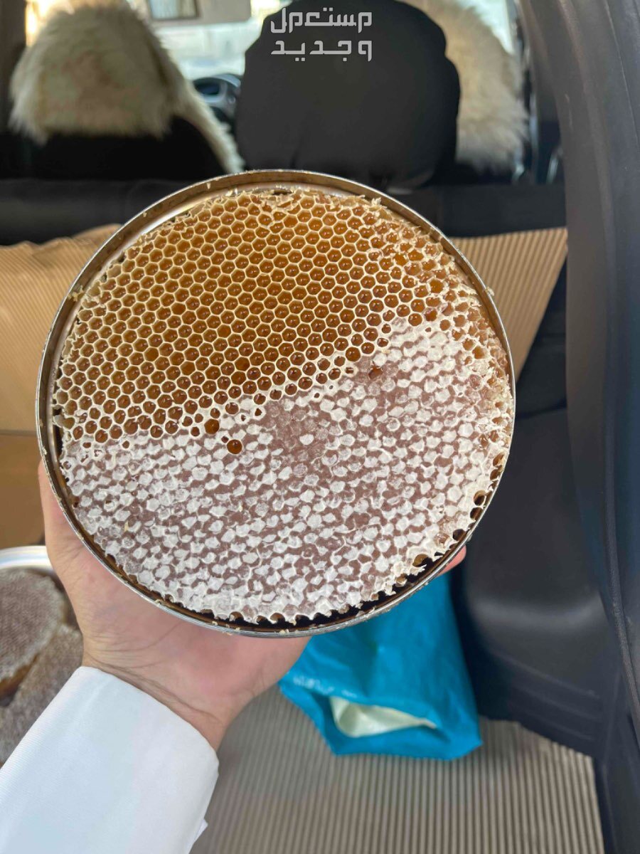 العسل السدر اليمني