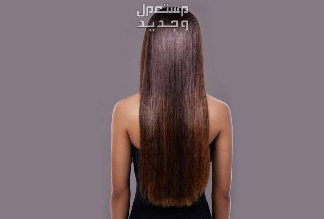 أفضل خلطات لتطويل الشعر وتكثيفه في السعودية تطوير شعر الفتيات