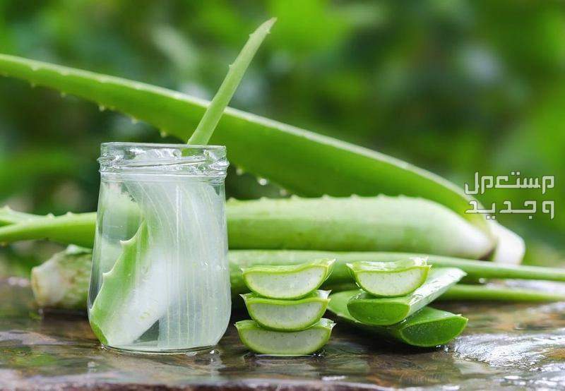 تعرف على أسباب اكزيما الشعر وطرق علاجها جل الصبار