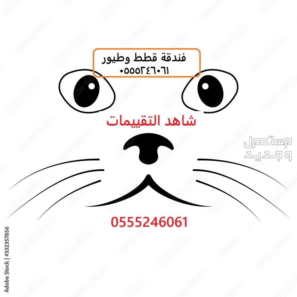 فندقة طيور وقطط الرياض وقت سفرك 61 60 24 0555  في الرياض 0555246061