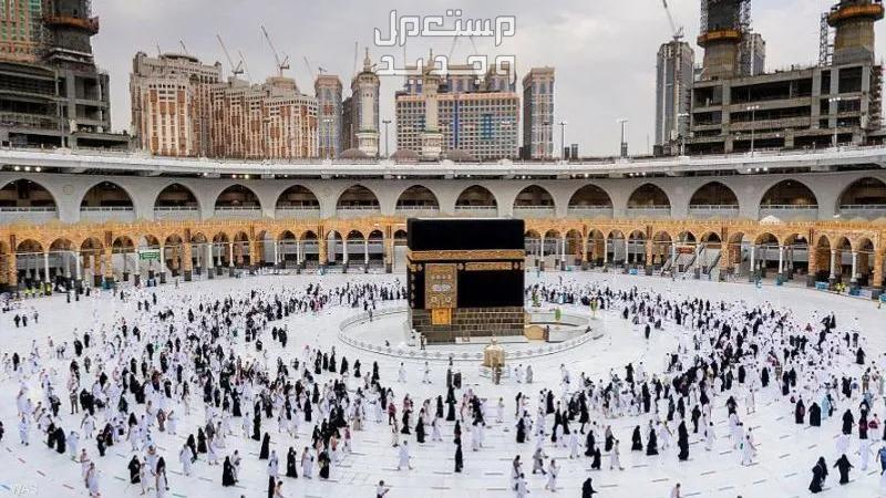 رابط منصة نسك للحج والعمرة وكيفية التسجيل 1445 رابط منصة نسك للحج والعمرة