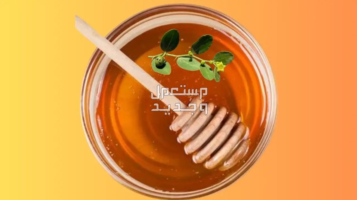أفضل أنواع العسل الأصلي 2024 في البحرين