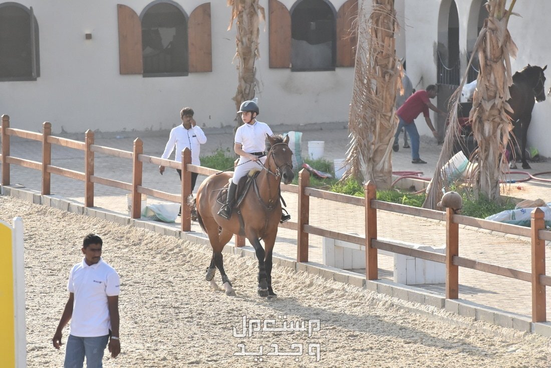 تعرف على أماكن ركوب الخيل في جدة في عمان إسطبل سيتي هورس