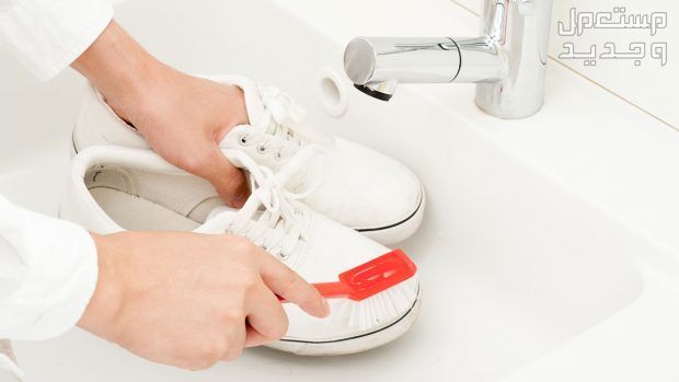 طريقة تنظيف الحذاء الأبيض من الاصفرار تنظيف الحذاء بفرشاة الأحذية