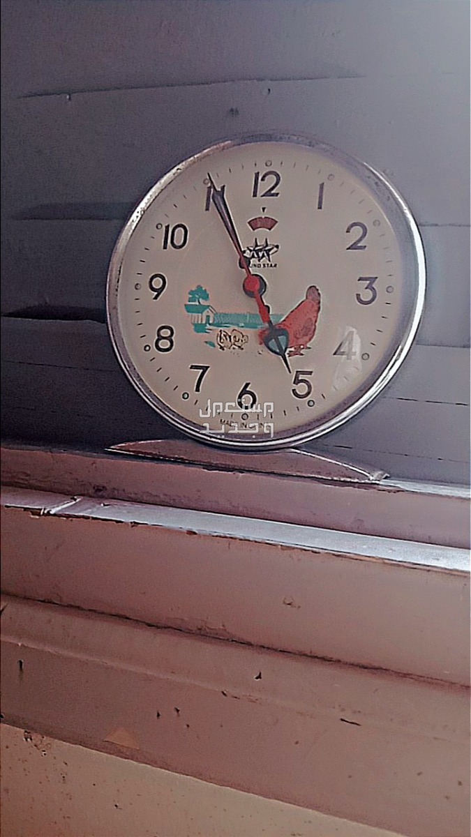 ساعة الدجاجة والكتاكيت الأصلية