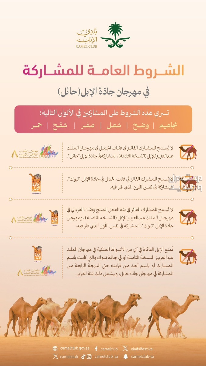 متى يبدأ مهرجان جادة الابل 2024 وكم تبلغ قيمة الجوائز؟ في عمان مهرجان جادة الابل 2024