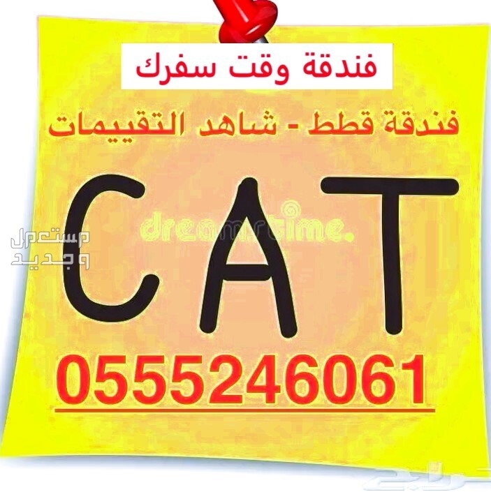 فندقة قطط وطيور .1 حي المروج  في الرياض