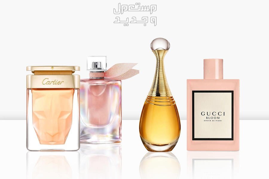 أفضل العطور الشتوية للنساء 2024 والأسعار كاملة عطور النساء الشتوي