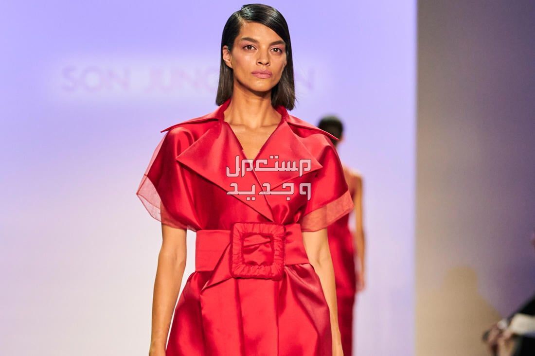 أسبوع الموضة في نيويورك 2024: أجمل الإطلالات وأسعارها في السعودية إطلالة ساحرة من اسبوع الموضة نيويورك