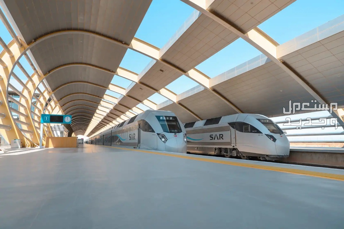 موعد وطريقة الحجز في قطار حلم الصحراء الفاخر في قطر سار