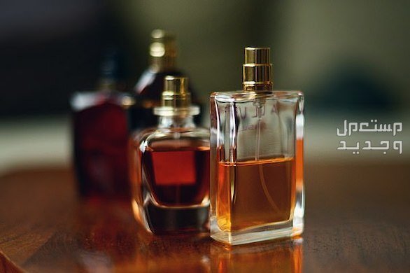 عروض يوم التأسيس للعطور والأسعار عطور يوم التأسيس