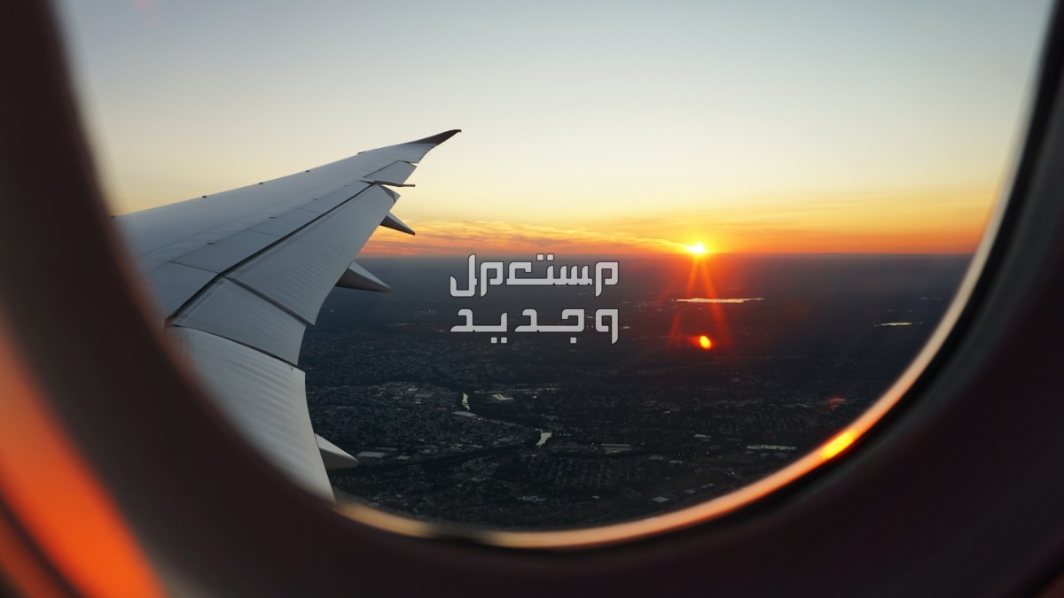 عروض يوم التأسيس طيران بأسعار خيالية تعرف على أبرز العروض في الأردن عروض يوم التأسيس طيران