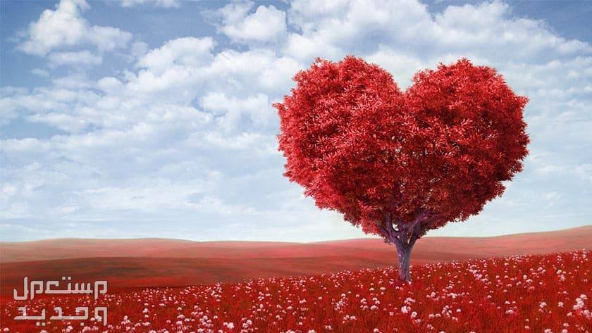 موعد الفلانتين بالهجري.. وأجمل رسائل التهنئة بعيد الحب 2024 موعد الفلانتين