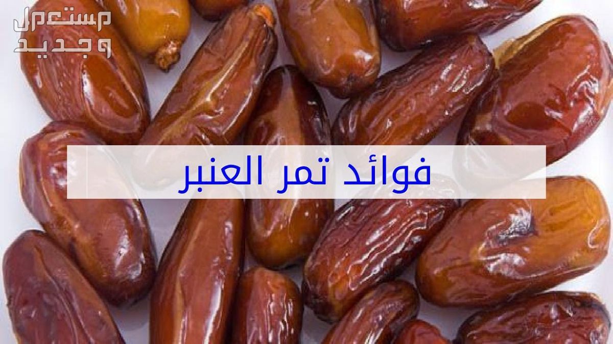 تعرف على أجود وأغلى أنواع التمور تمر العنبرة